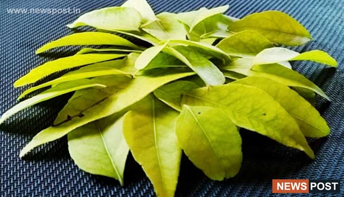 11 Health Benefits Of Curry Leaves